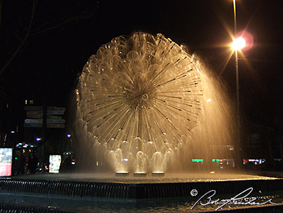 DandelionFountainAU648
