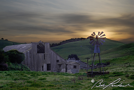 Petaluma Farm  " Windmill Sunrise