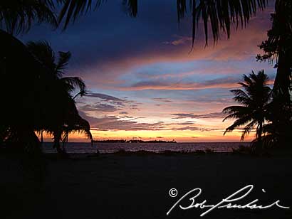Belize, Log At Sunrise