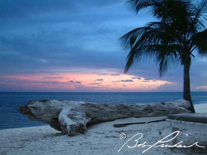 BelizeLogAtSunrise