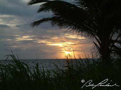 BelizePalmSunrise34