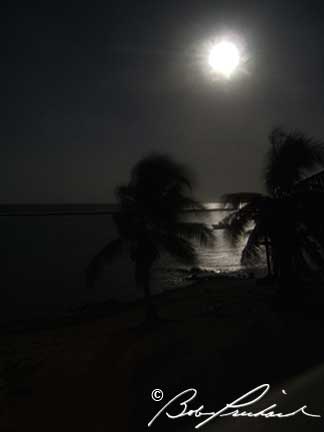 CaymanIslands0813