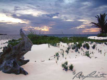 LRR_SunriseBeach23