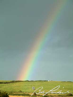 RainbowNearDoolin0570