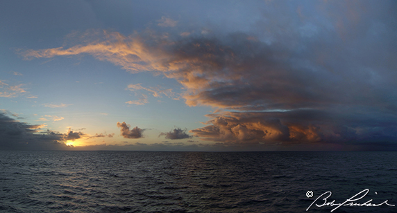 BridgeSunset782