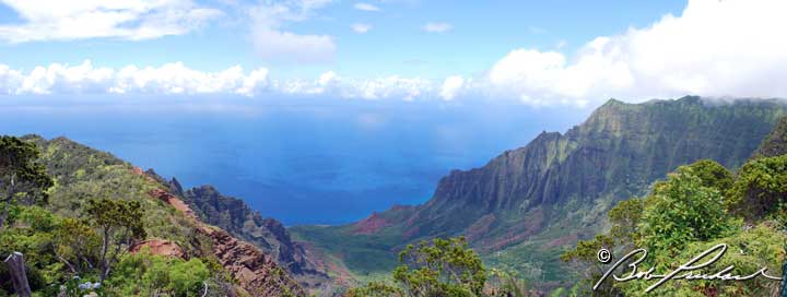 Hawaii_KalalauValley718