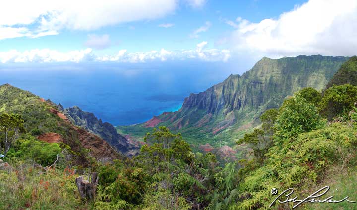 Hawaii_KalalauValley734