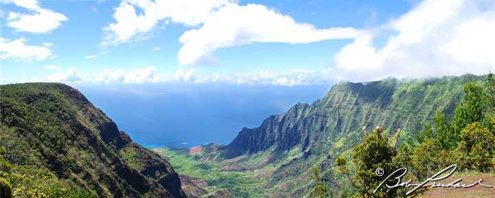 Hawaii_KalalauValley763