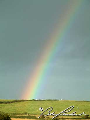 RainbowNearDoolin5701