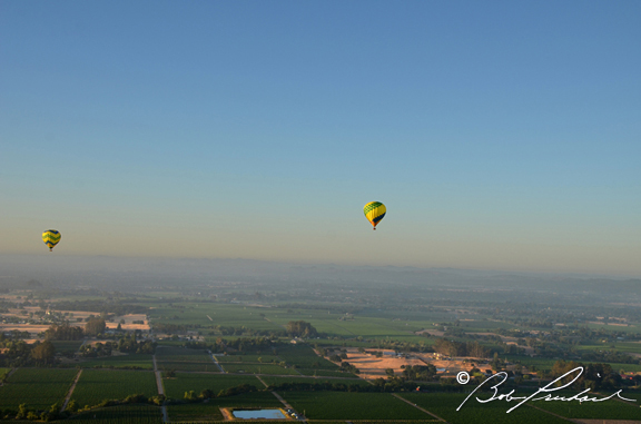 Two Balloons Over Sonoma County