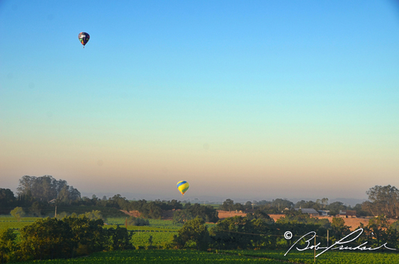 4618 Two Balloons Over Sonoma County