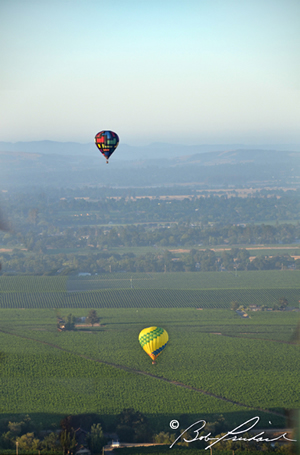 4624TwoBalloonsOverSonomaCounty
