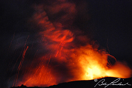 Hawaii_NitetimeFireworks141